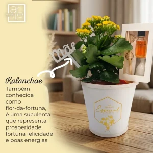 Vaso com flores "Mãe-Um presente especial para ti"